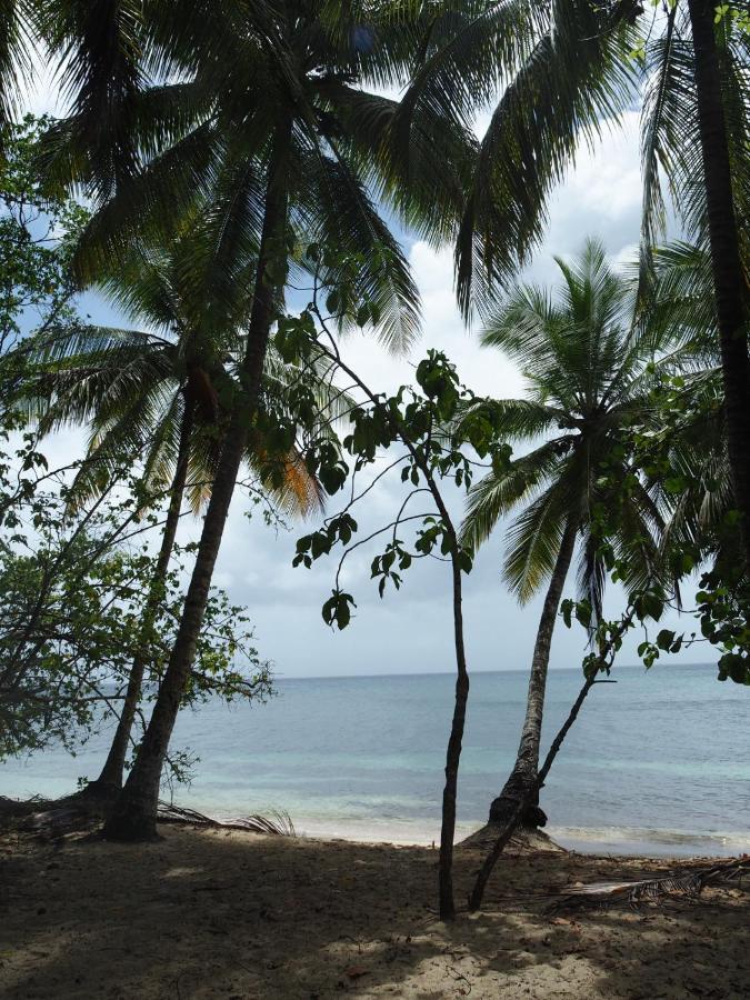 Blue Dream Beach - Residence Plage & Piscine Folle Anse Exterior foto