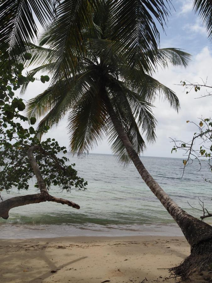 Blue Dream Beach - Residence Plage & Piscine Folle Anse Exterior foto